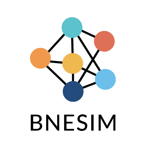 BNESIM logo