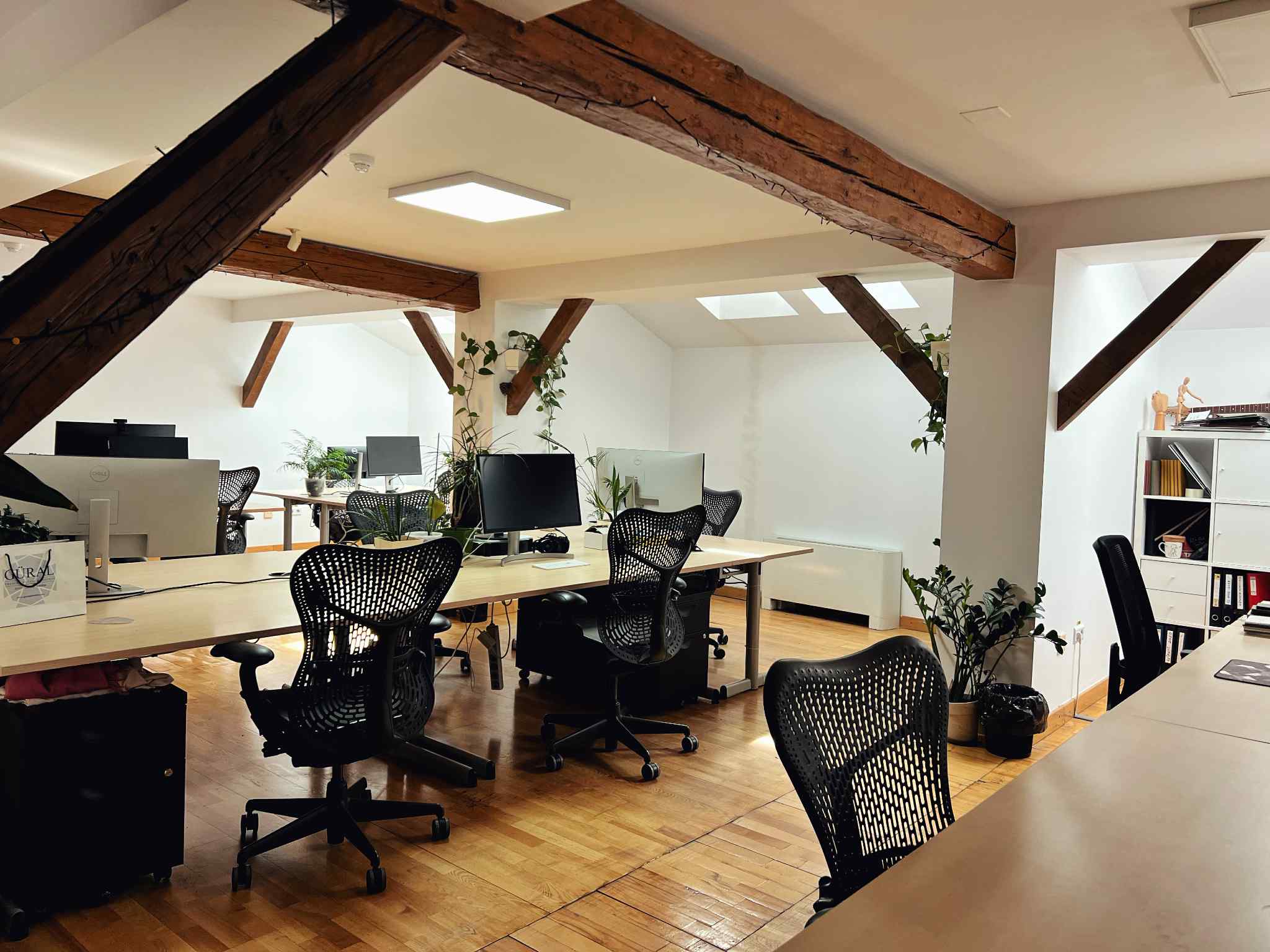 DevPlant Cowork